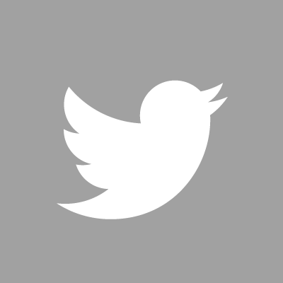 twitter-logo-social